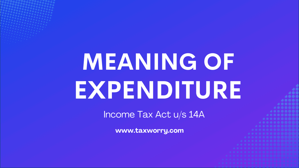 meaning of expenditure